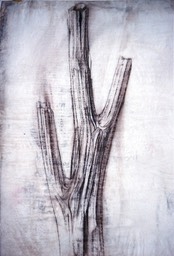 003 Dessin