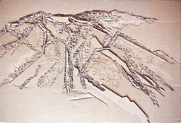 70 Incision