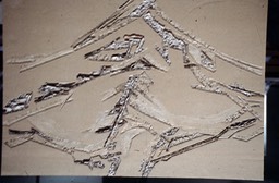 Incision 626
