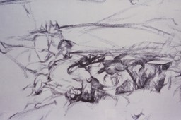 SCN_0003