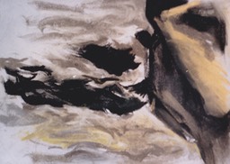 SCN_0005