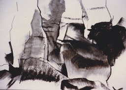 SCN_0006