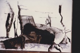 SCN_0008